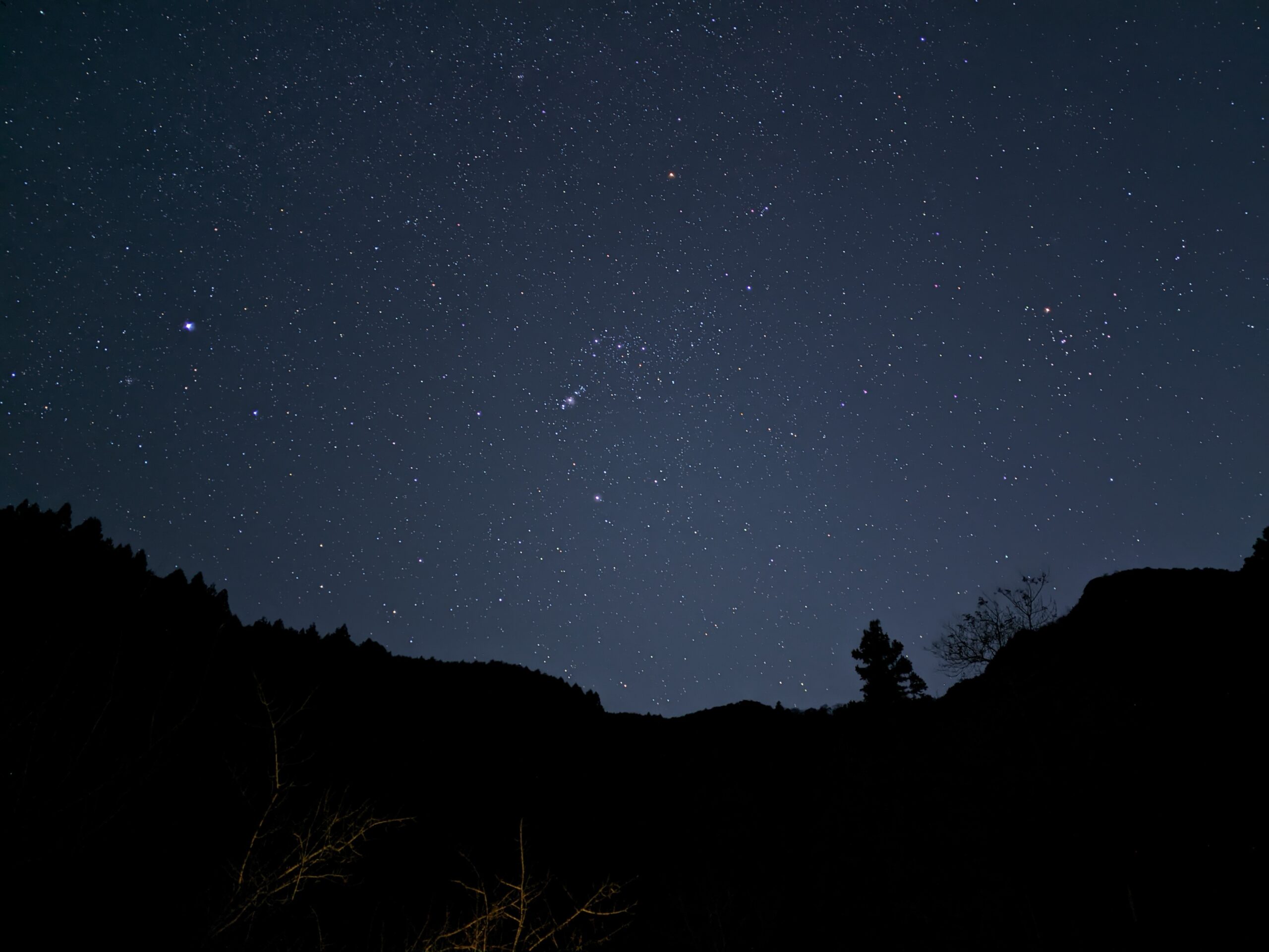 PXL_20260116_153423220.NIGHT